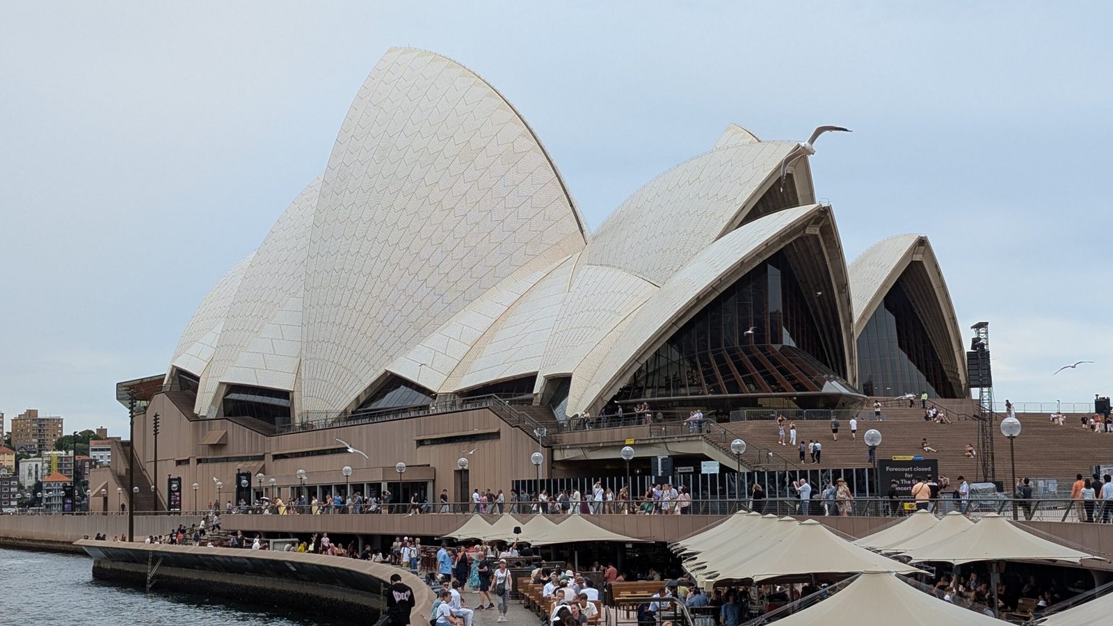 A Taste of South Australian Wine Country